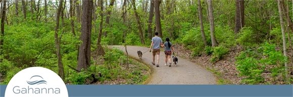 A couple with two dogs walking in a park trail and holding hands