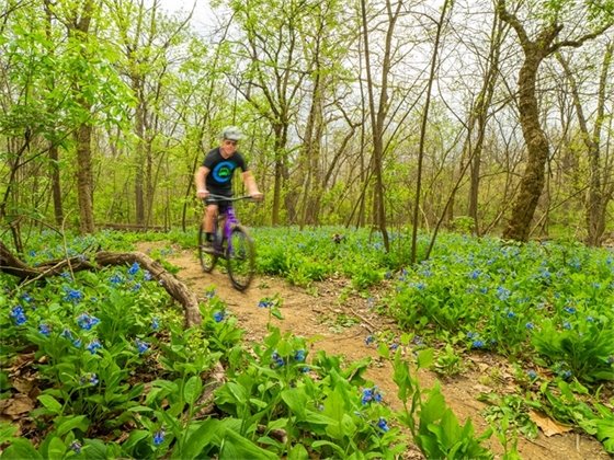 A person riding a mountain bike through the Gahanna Mountain Bike Trail