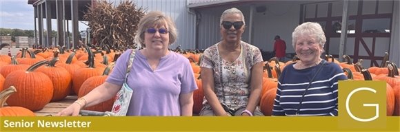 Gahanna seniors golfing at the Senior Golf League midsummer cookout