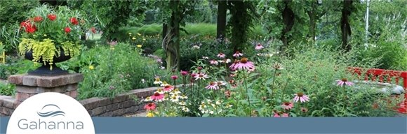 Newsletter Header image