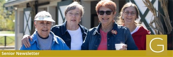 Gahanna seniors golfing at the Senior Golf League midsummer cookout