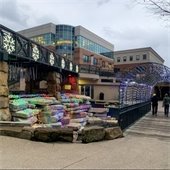 Holiday Lights Celebration