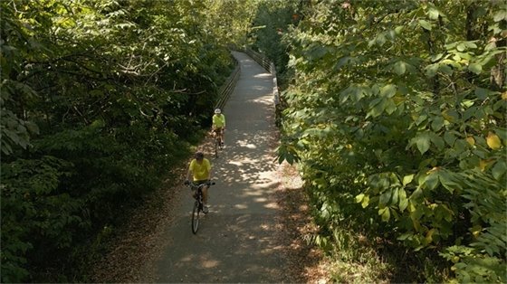 Two people riding bikes through a trail of trees