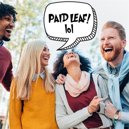 Dog laughing in a joke