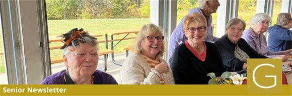 Gahanna seniors golfing at the Senior Golf League midsummer cookout