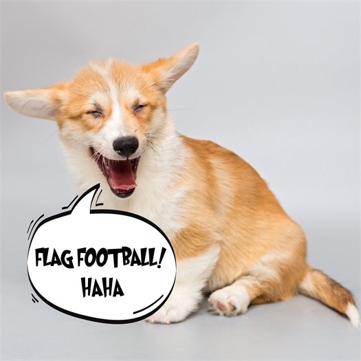 Dog laughing in a joke