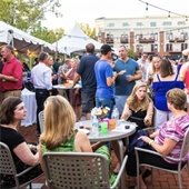 Hops and Vines Photo