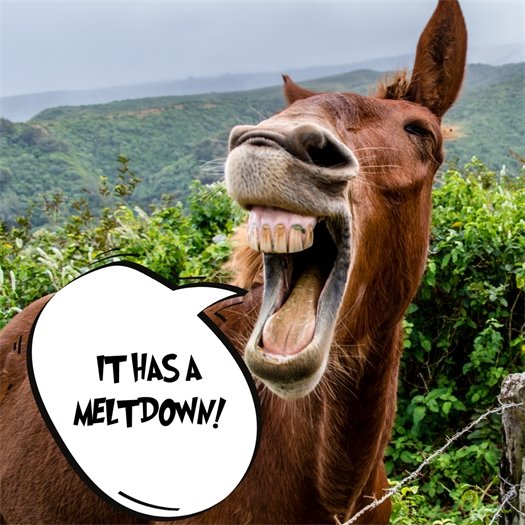 Dog laughing in a joke