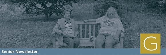 Gahanna seniors golfing at the Senior Golf League midsummer cookout