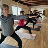 A line of yoga participants doing a stretch in unison.