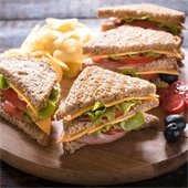 sandwich with chips