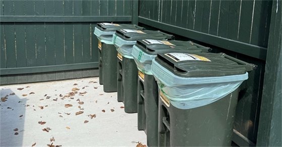 A row of green composting trash bins