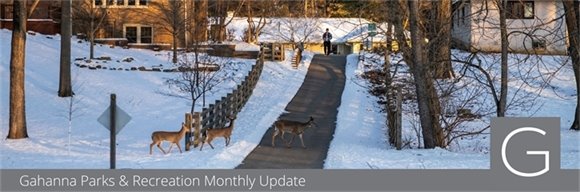 Gahanna wildlife in snow