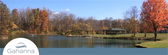 November Newsletter banner image 