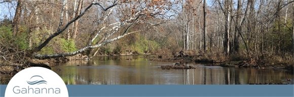 Gahanna trail in winter