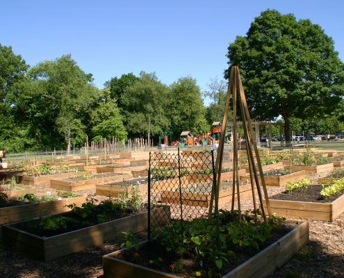 Community Garden - Friendship
