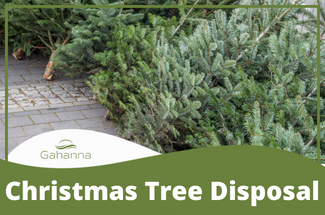 Christmas Tree Disposal