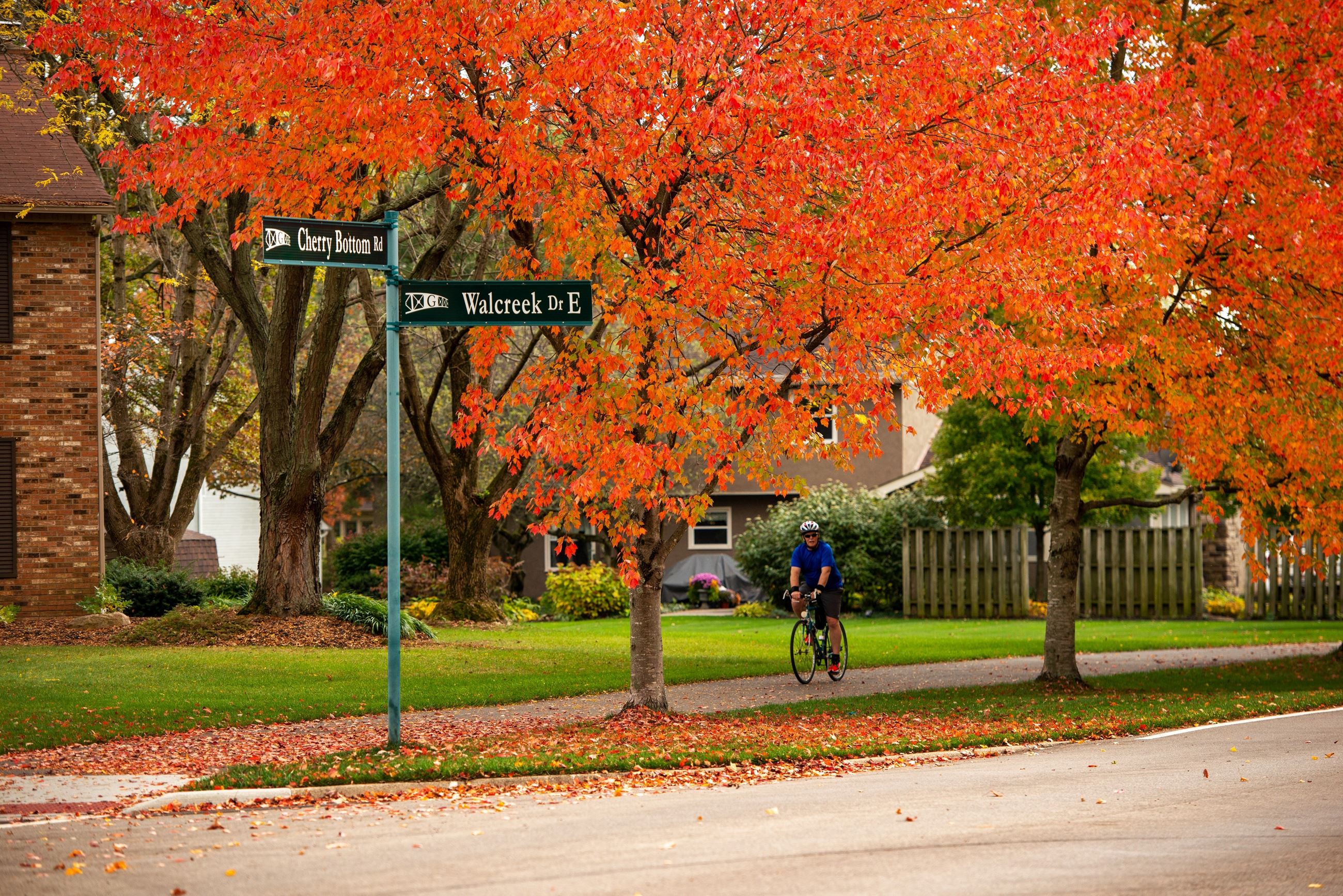 Walcreek Dr. E. photo