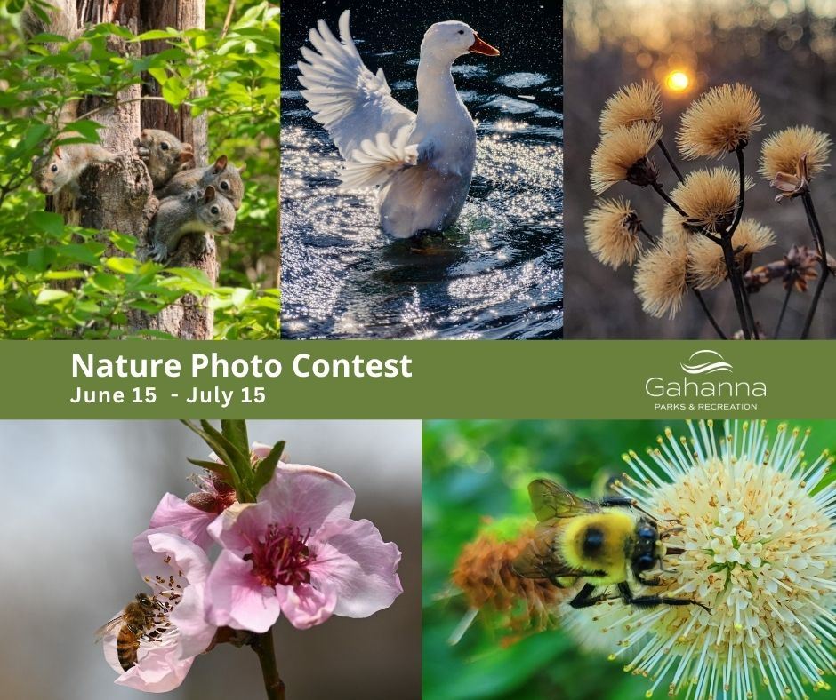 five photos of nature and text 